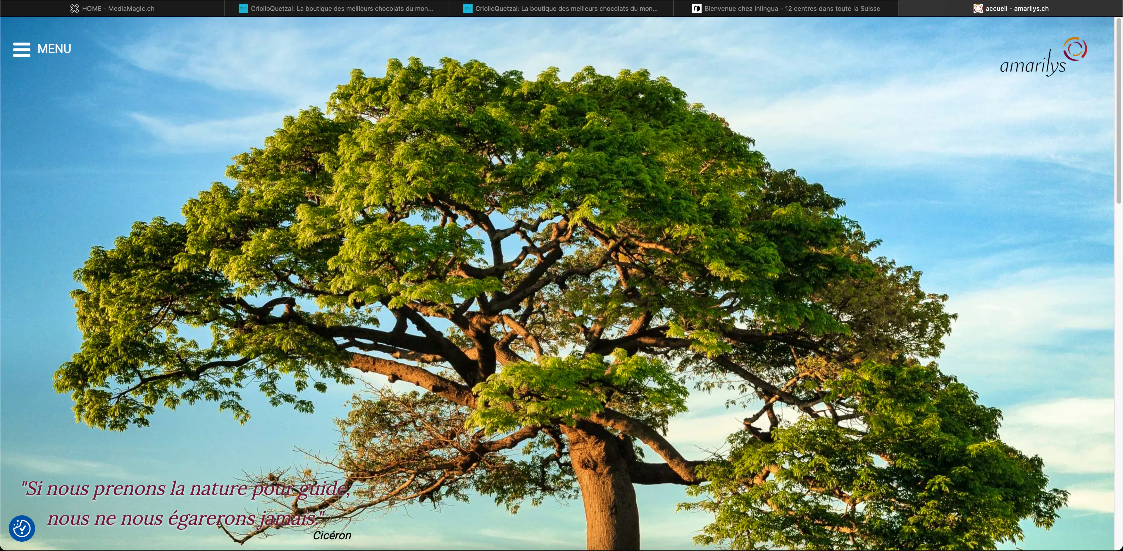 site web amarilys